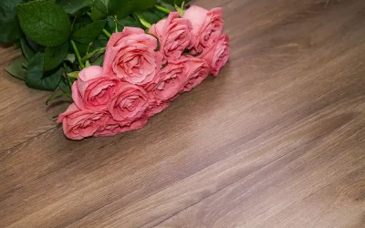 Osmanlı’da Sünnet Geleneği